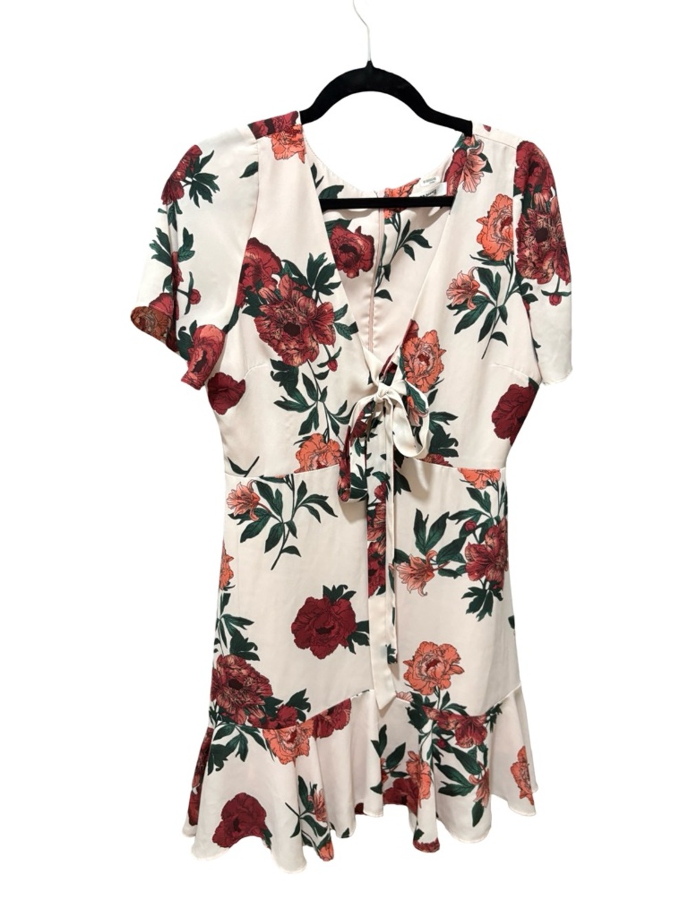 BB Dakota Pink Floral V-Neck Mini Dress with Front Tie Size 8